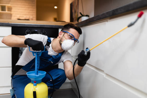 Best Pest Prevention Services  in West Fork, AR