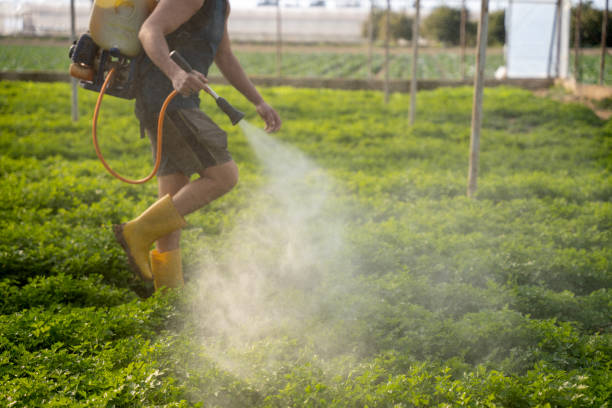 Pest Control for Restaurants in West Fork, AR