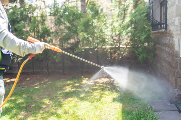 Spider Control Near Me in West Fork, AR