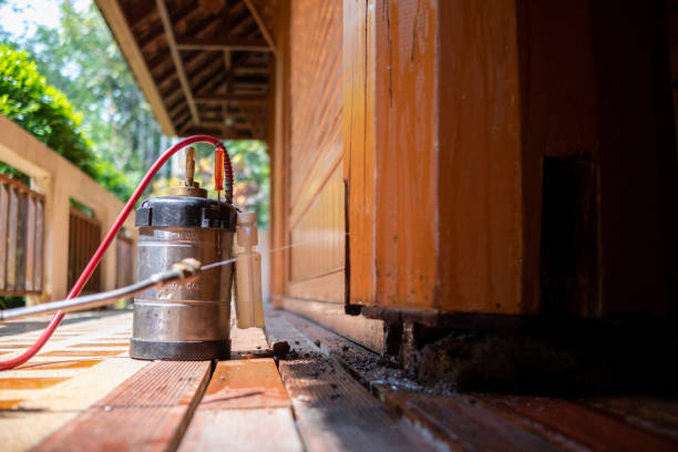 Best Pest Removal Services  in West Fork, AR