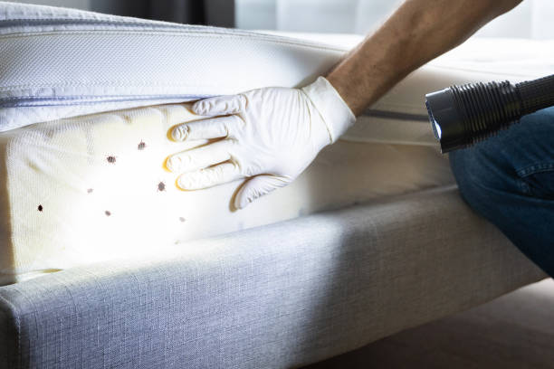 Best Pest Control Cost  in West Fork, AR